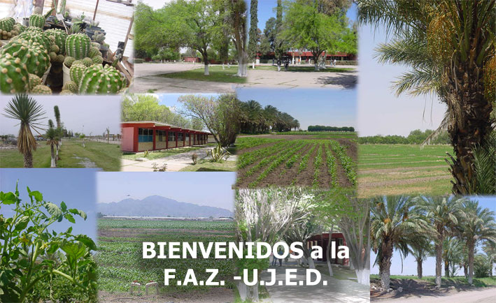 Bienvenidos a la FAZ